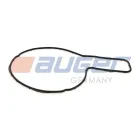 80170 Прокладка насоса охлаждающей жидкости Volvo FH/FM/RVI Magnum DXI RVI LCV (1970-2020), VOLVO B9 (2002-2020) Auger