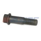 74695 Болт С/И М14х60х1,5 Р=30 К=19 ф=16 L1=30 фланцевый (каленый) крепления корпуса бортового MAN Bus (1970-2020), MB LCV (1970-2020) Auger