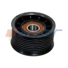 55699 Ролик направляющий Renault Premium II TR/PR, Kerax DXi 11 RVI C (2013-2020), VOLVO B9 (2002-2020) Auger