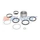 65067 Ремкомплект уплотнений цилиндра с поршнем SCANIA N Bus (2004-2020) Auger