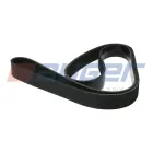 80025 Ремень поликлиновой 8РК1515 DAF: CF 65 = FA 65.180/FA 65.220/FA 65.250/FA 65.280/FA 65.300= (01 - 13) , LF 45 = FA 45.130/FA 45.140/FA 45.150/; 8PK1510 Auger