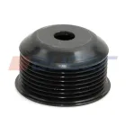 75802 Шкив, Генератор 8ручьев 61x?71x44 VOLVO PENTA TAD1240GE 2010- 12130ccm 6 Cyl. 2P / VOLVO TRUCK FH12 1993-1998 12100ccm [D12A420 D12D340 D12A420] VOLVO Auger