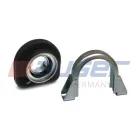 79252 Подшипник подвесной ф60мм S=80 h=165 (c обоймой) карданного вала IVECO Zeta/Eurocargo, RVI Midliner/Midlum, Volvo FL6 VOLVO L160 (1986-1992) Auger