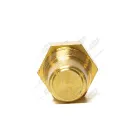 ТМ100А AE Датчик Т охлажд. жидкости ф14; М16х1,5; L=39 К=19, под клемму, t=40-110 AVTOELECTRICA