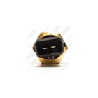 233.3828 AE Датчик Т охлажд. жидкости ф8; М16х1,5; L=52 К=19; t-128; фишка 2 плоские клеммы /МАЗ-ЕВРО-3,ГАЗ/ с AVTOELECTRICA