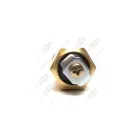 ТМ100В AE Датчик Т охлажд. жидкости ф14; М16х1,5; L=47 К=19; t-120; под болт /ГАЗ.ЗИЛ.УАЗ.КрАЗ/2442.3828 AVTOELECTRICA