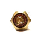 ТМ100А AE Датчик Т охлажд. жидкости ф14; М16х1,5; L=39 К=19, под клемму, t=40-110 AVTOELECTRICA