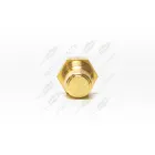 ТМ100 AE Датчик Т охлажд. жидкости ф14; М16х1,5; L=47 К=19; t-120; под болт /ГАЗ.ЗИЛ.УАЗ.КрАЗ/2442.3828 AVTOELECTRICA