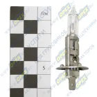 H1-24-70 Лампа накаливания 24V 70W; H1 (P14.5s) DAF SB (1974-2021), MAN TGA (2000-2021), MB Citaro (O 530) (1998-2021), RVI C (2013-2021), SCANIA P-, G-, R-, T; (INTERSVET) AVTOELECTRICA