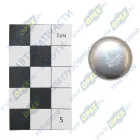 143.286 Пробка (заглушка) блока цилиндров КАМАЗ дв. Cummins ISLe, L, CT, QSL 3004258 (21 мм) CAMIDA