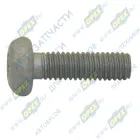 PV10005342 Болт С/И М6х20х1 Р=18 полукругл. головка К=внутр.звезд. 6 крышки привода ГРМ Газель Некст дв.G21 Foton