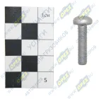 PV10005341 Бoлт M6x25х1 внутр.звездочка Foton