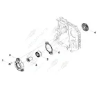 0453 Прокладка крышки привода масляного насоса (компрессора воздушного) Cummins ISF-2.8,ISF3.8,ISBe,ISDe HAFFEN