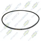 SPZ-1150 Ремень клиновой 10x1150 MAN Lion's (1991-2021) HIMPT