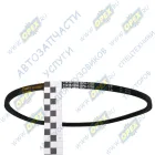 SPA-1250 Ремень клиновой 11х10х1250 240-1308020 ALFA ROMEO / FORD / ISUZU / NISSAN / OPEL / SAAB / TOYOTA / VAUXHALL / VOLKSWAGEN / MAN Lion's (1991-2021), MB HIMPT