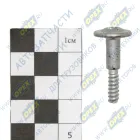 MQ6W07219-0014 Винт С/И ф6 L=29 М5х13х2 саморез. с плоским концом полукруг. шляпка под TORX T30 крепления бампера (C7H MAX) Howo