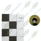 Q4640819F36 Заклепка ф8х20 сталь полутрубчатая тормозной колодки JAC-N80,90 JAC