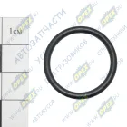 022-026-25 Кольцо (РТИ) круг.сеч. 022-026-25 ГОСТ-9833-73 NQK