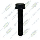 1004027-81D Болт DIN6921 М14х70х1,5 Р=70 К=21 фланцевый крепления диска QINYAN