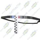 6РК-1703 Ремень поликлиновой AUDI / CITROEN / FIAT / HYUNDAI / FORD / PEUGEOT / OPEL / Rubena