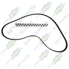 6РК-1370 Ремень поликлиновой 6РК1370 привода вентилятора ЯМЗ-534,536, CITROEN // DODGE // FIAT // MITSUBISHI // OPEL // PEUGEOT; ГАЗ дв.ЗМЗ-406 с ГУР Rubena