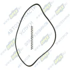 8PK1765 Ремень поликлиновой 8РК1770 DAF CF65 (2001-2013) Technik