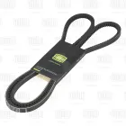 AVX13X1775 Ремень клиновой зубчатый AVX13X1775 для а/м ГАЗ 66, 3308; ПАЗ 3206 (ГУР, компрессор, для двиг. ЗМЗ-513, 523) MB Tourino (O 510) (2003-2021); 13x1775 Trialli