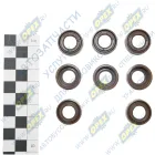 17003 Сальник (манжета) уплотнит. впуск. клапана МАЗ 12х20х13 С/И; (8шт. КОМПЛЕКТ) Vitocom