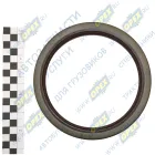 17234 Сальник (манжета) 130х160х16 ступицы задней FPM WD DC+ MAN Bus (1970-2020); 2.2-130х160х16 (500-3104038) 2-бортный Vitocom