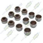 17006 Манжета клапана ф6х11х13,5; h=10 с пружиной С/И; (фторкаучук) комплект 12шт Vitocom