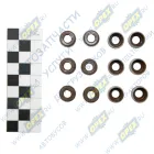 17006 Манжета клапана ф6х11х13,5; h=10 с пружиной С/И; (фторкаучук) комплект 12шт Vitocom