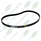 5PK1025 Ремень поликлиновой 5РК1025 ЯМЗ-650,651 привода генератора FORD Escort VII 1,8TD 2/95-2/99,MAZDA 626 V 1,9/2,0 5/97->,TOYOTA Avensis 2,0 9/97-10/00, O АВТОМАГНАТ