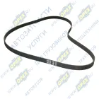 6PK1750 Ремень поликлиновой Citroen Xsara/C5/Berlingo 98> АВТОМАГНАТ