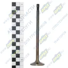 5340-1007010 Клапан впускной ЯМЗ-534 АВТОМОТОЗАПЧАСТЬ