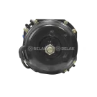 BAK.03083 Камера тормозная (энергоаккумулятор) кулачковый тормоз t24/24 man/daf/rvi DAF LCV (1970-2020), MB LCV (1970-2020); 9254911140 БелАК