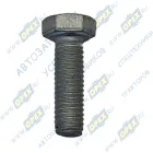 1/09778/21 Болт ГОСТ-7798 М5х16х0,8; К=8/9 БелЗАН