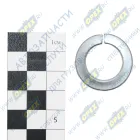 1/05173/77 Шайба пружинная (гровер) ф18х27х3,5 ГОСТ 6402 БелЗАН