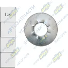 1/25984/71 Шайба с внутр. зубьями 8х22х1,2 h=3,3 ГОСТ10462-81 БелЗАН