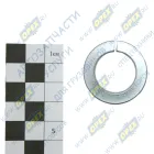 1/05174/77 Шайба пружинная (гровер) ф20х32х4 ГОСТ-6402 БелЗАН