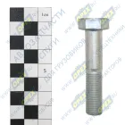 1/55410/21 Болт ГОСТ-7798 М12х60х1,25 БелЗАН