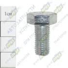 1/59705/21 Болт ГОСТ-7798 М10x20х1,25; Р=19 К=17 БелЗАН