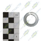 1/05172/77 Шайба пружинная (гровер) ф16х27х5 ГОСТ-6402; х27х5 кард. вала БелЗАН