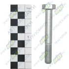 1/59713/21 Болт ГОСТ-7798 М10х75х1,25; Р=27 К=16/17 БелЗАН