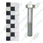 1/55411/21 Болт ГОСТ-7798 М12х65х1,25; Р=30 К=19 БелЗАН