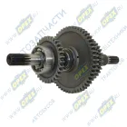 220-1701190 Вал выходной (21-31) ф30,L=360 c шестер.и подш.в сб. БЗТДИА