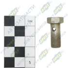 560.3548276 Болт-штуцер М10х22х1 Р=13 К=14 отв. ф5; Р=14 К=13/14 4скв.отв. ввертной (29х0х0) ГАЗ