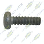 РV10005342 Болт С/И М6х20х1 Р=18 полукругл. головка К=внутр.звезд. 6 крышки привода ГРМ Газель Некст дв.G21 ГАЗ