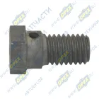 С41А23-3105015 Болт С/И М10х20х1,5 Р=13 К=14 подголовник ф12 скв. отв. ф3 собачки ГАЗон Некст ГАЗ