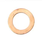 1/02844/60 Шайба плоская медная ф10х16 КАМАЗ,МАЗ; ф10х16х1 трубки (под дренажку) КАМАЗ-УВК