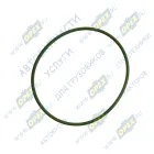 R910.10-1111754-10 Кольцо (РТИ) круг.сеч. 098-105-35 ГОСТ 9833-73 уплотнительное масляного охладителя КАМАЗ-УВК